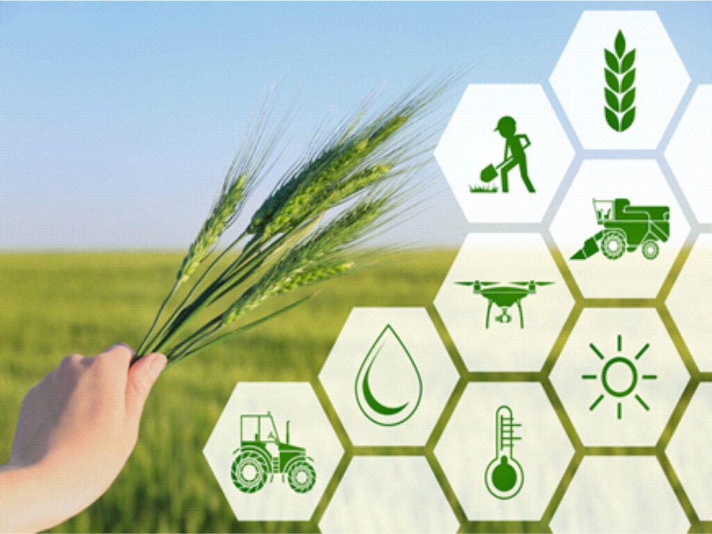 su blog agri business