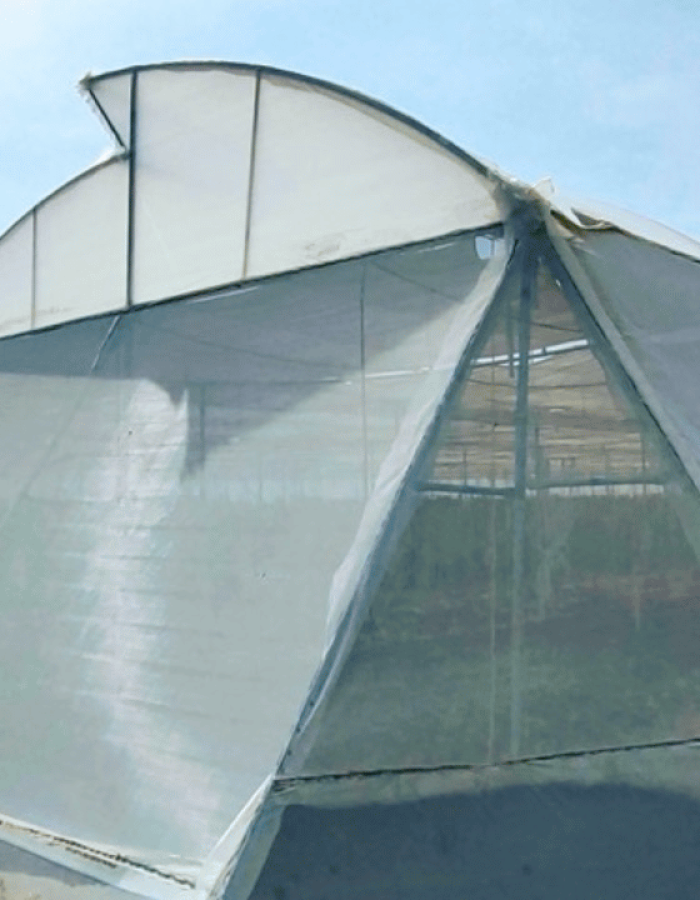 687240b0f992bdce978be6e1 low cost polyhouse (1)