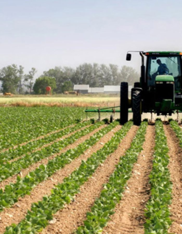agriculture 1